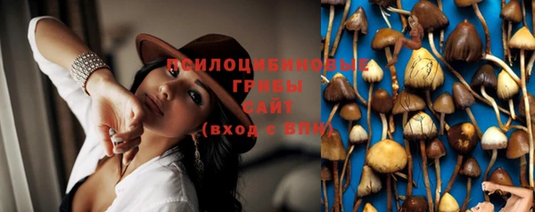 молекула духа Белоозёрский