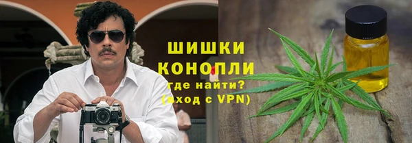 молекула духа Белоозёрский