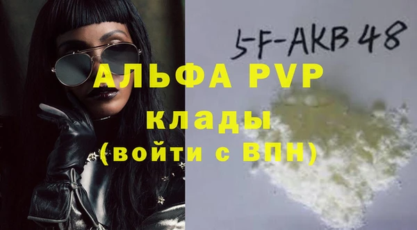молекула духа Белоозёрский