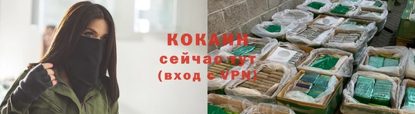 молекула духа Белоозёрский
