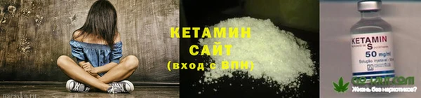 шишки Пересвет