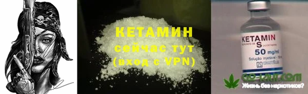 бошки Белокуриха