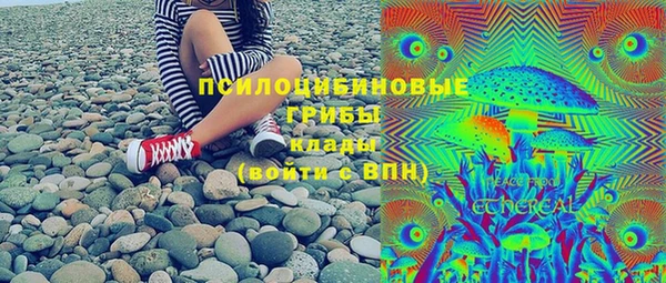 молекула духа Белоозёрский
