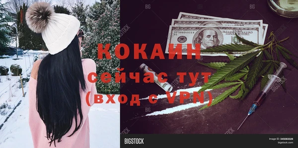 бошки Белокуриха