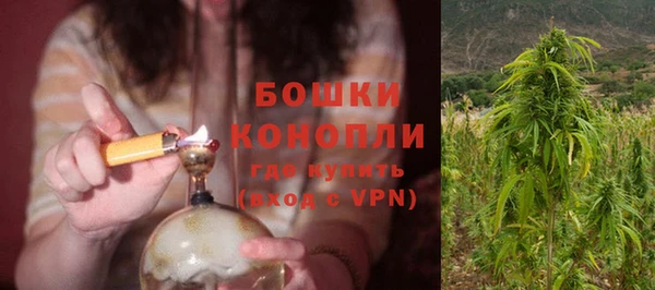 бошки Белокуриха
