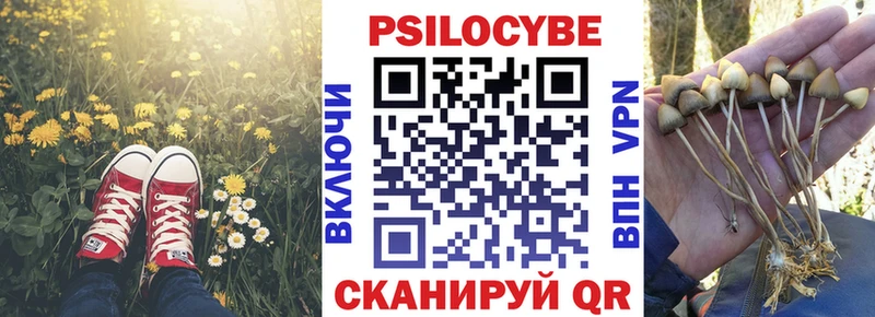 Псилоцибиновые грибы Psilocybe  маркетплейс формула  Михайлов 